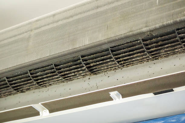 Best HVAC System Cleaning  in Durham, CA